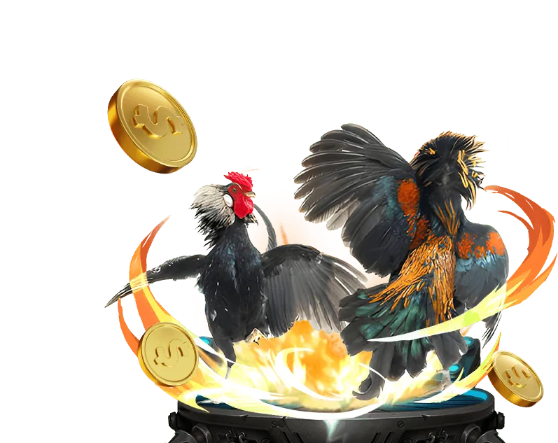 Hệ thống quản lý quỹ TK88