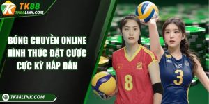 Bóng chuyền online